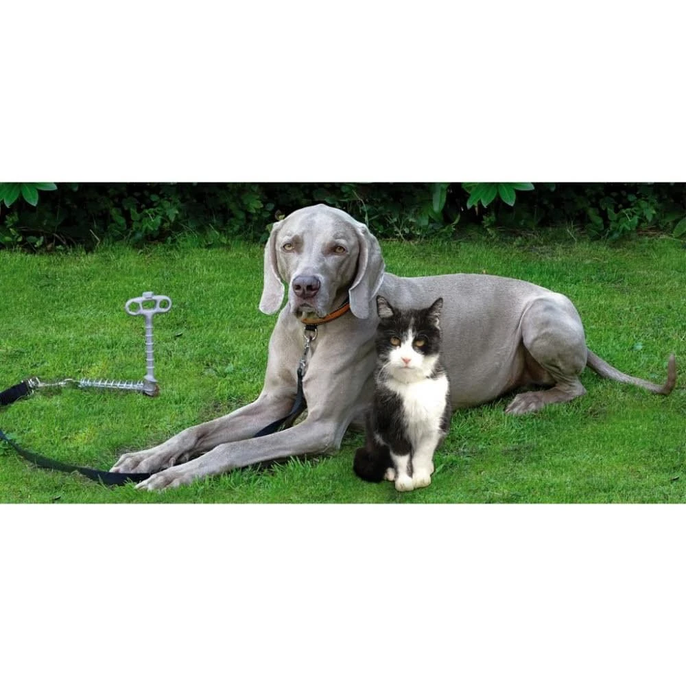 Peggy Peg Pet Peg T-haring 2 Peggy Peg Pet Peg T-haring - Afbeelding 2